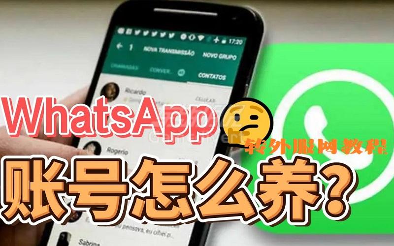 最全指南：如何有效养护防封WhatsApp账号，保持长期活跃与安全.jpg