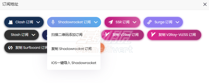 使用一键手动导入配置 Shadowrocket 的一般步骤.png