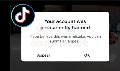 TikTok,TikTok账号封禁,TikTok解封申诉,TikTok封号原因,TikTok账号购买,TikTok粉丝购买,TikTok官网,TikTok申诉教程,TikTok账号恢复,TikTok违规处理,TikTok如何使用,TikTok下载,TikTok内容审核,TikTok账号管理,TikTok申诉信模板,TikTok帮助中心