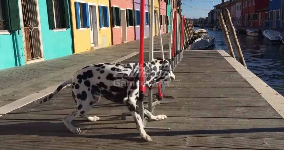 sora,gpt,Sora 2, OpenAI, AI 视频生成, Cameo 功能, 如何访问Sora 2,物理模拟, 多语言对白生成, One-Prompt 多镜头生成, Sora App, Sora邀请码, Sora 2邀请码分享,Sora 2邀请码如何获取,视频创作, AI 工具